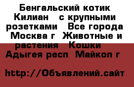 Бенгальский котик Килиан , с крупными розетками - Все города, Москва г. Животные и растения » Кошки   . Адыгея респ.,Майкоп г.